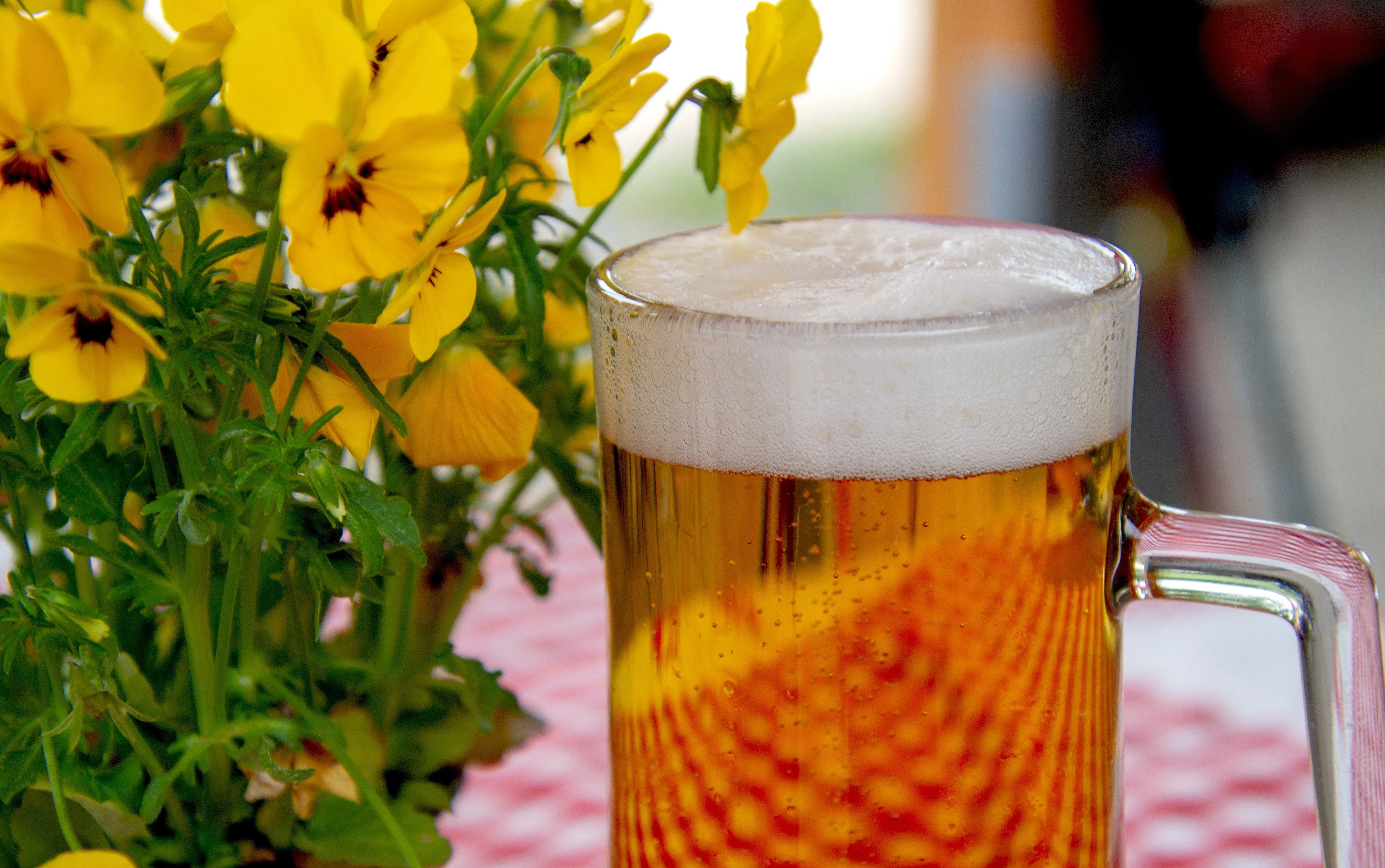 Du suchst ein Hobby für viele Jahre? Warum Bierbrauen eine gute Idee sein könnte