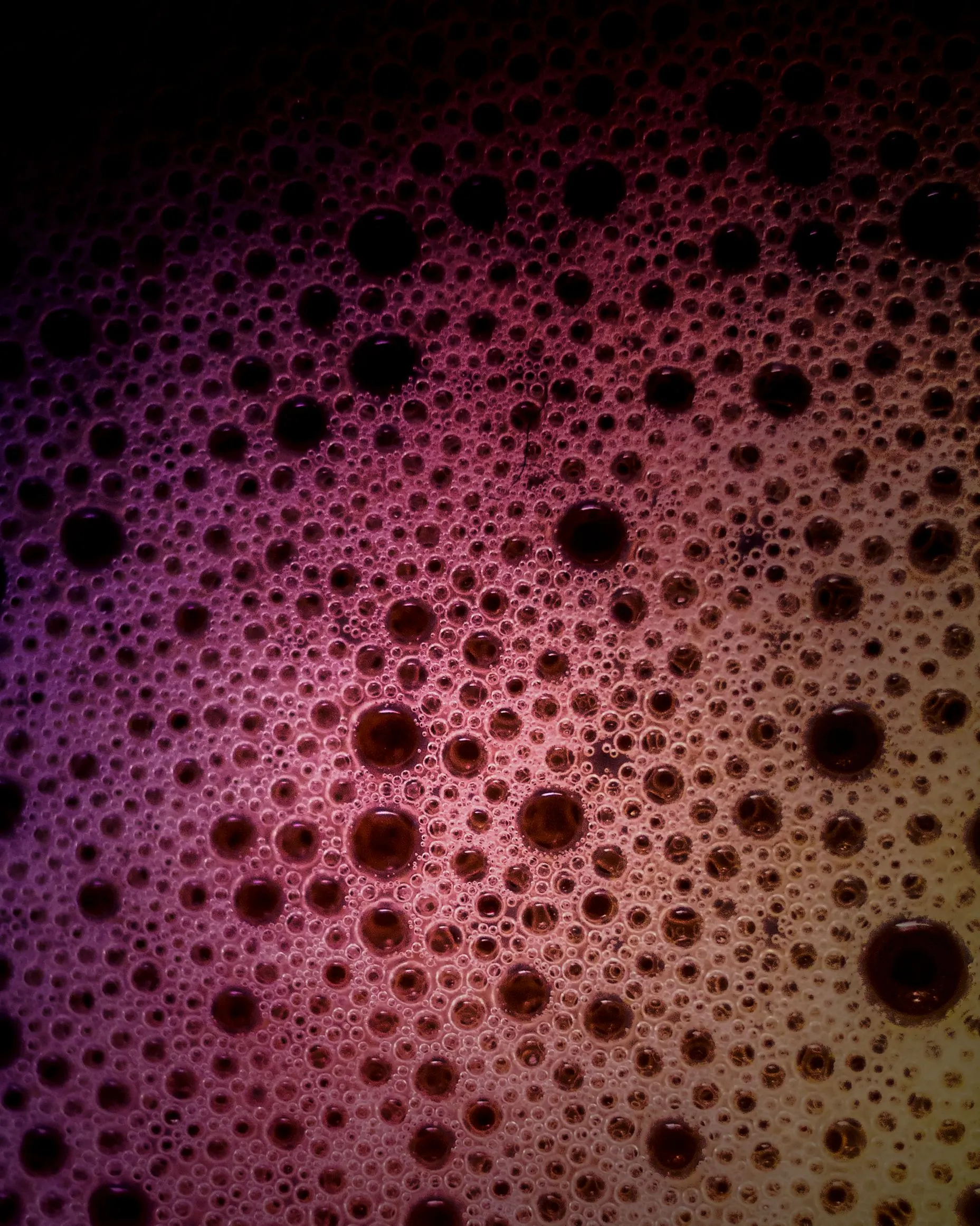 Hefe Serie #8: Trockenhefe oder Flüssighefe – was ist eigentlich der Unterschied?