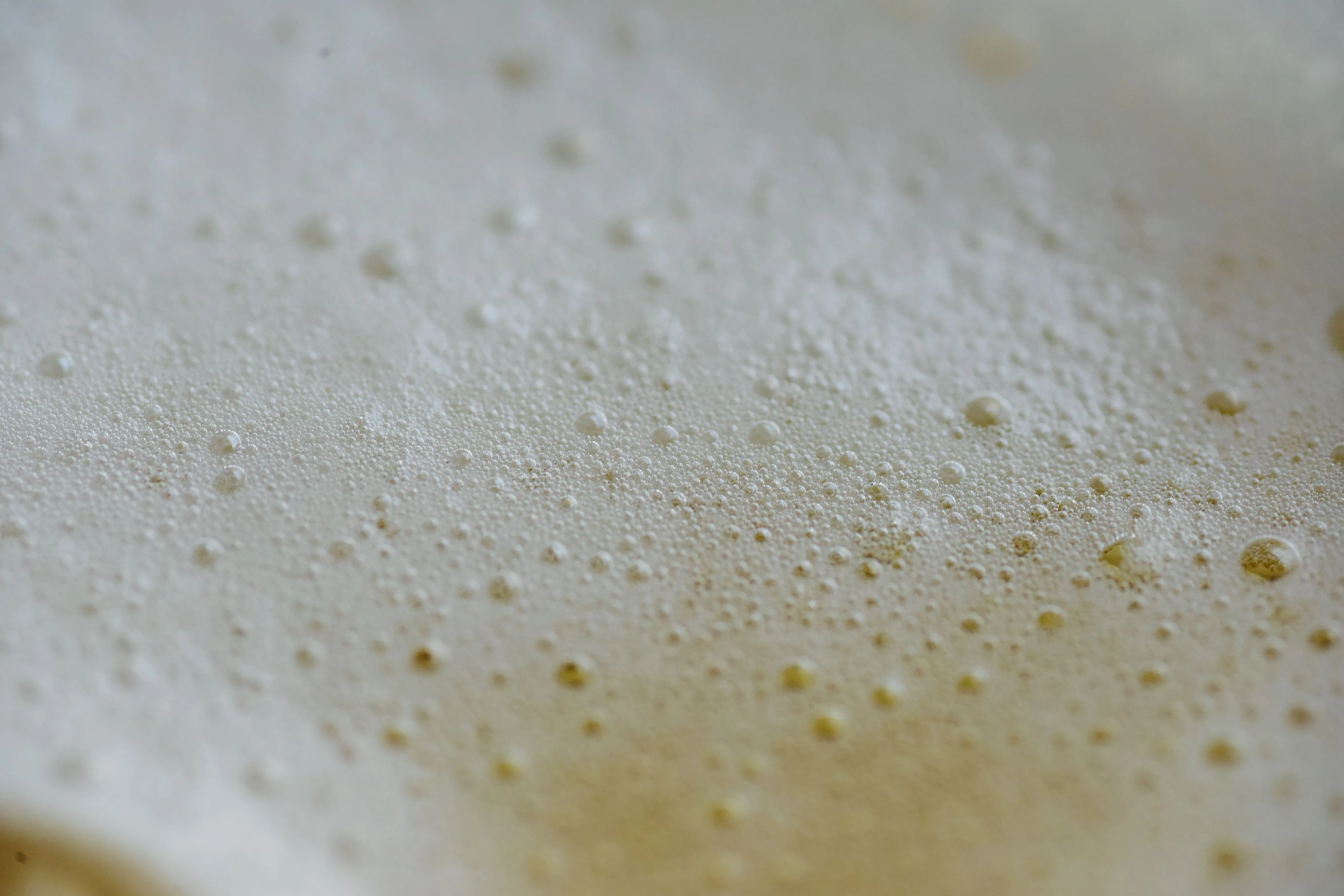 Hefe Serie #14: Wie verändert Hefe den Bierstil?